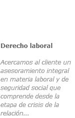 ﷯Derecho laboral
 Acercamos al cliente un asesoramiento integral en materia laboral y de seguridad social que comprende desde la etapa de crisis de la relación...